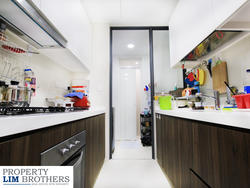 Riversound Residence (D19), Condominium #150861432
